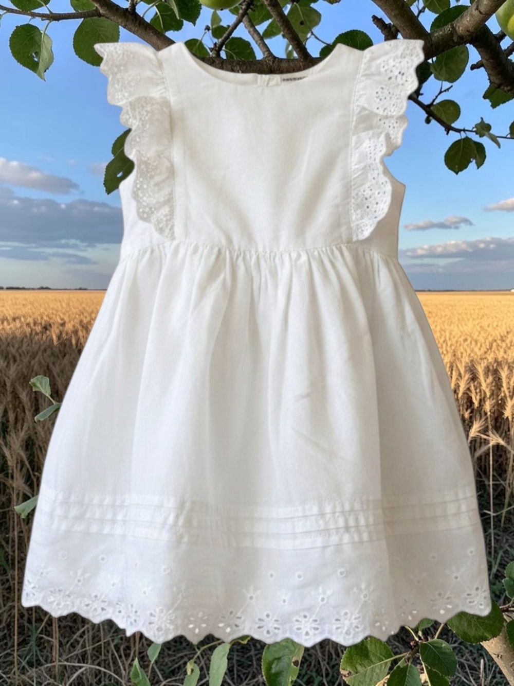 OshKosh B'gosh White Eyelet Ruffle Sleeve Dress